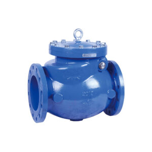 MECH SWING CHECK VALVE FLANGED BLUE | Model: H44X2
