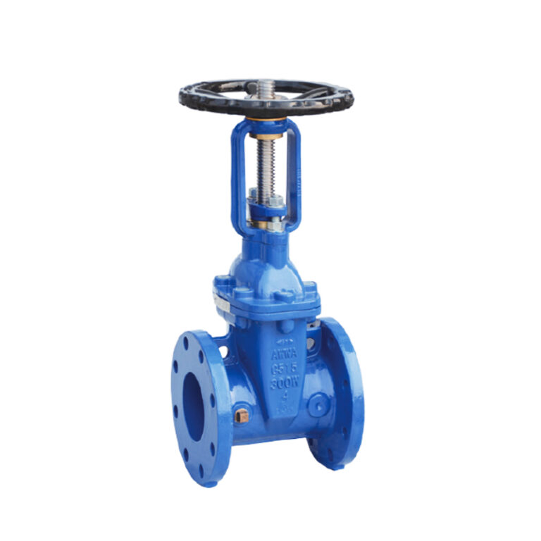 MECH GATE VALVE OS&Y FLANGED BLUE | Model: XZ41X